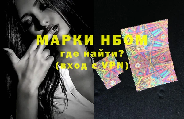 индика Слюдянка